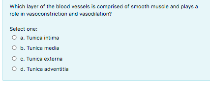 Which layer of the blood vessels is comprised of smooth muscle and plays a
role in vasoconstriction and vasodilation?
Select one:
O a. Tunica intima
O b. Tunica media
O c. Tunica externa
O d. Tunica adventitia
