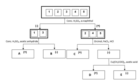 Conc. H,SO, a-naphthol
(-)
|(+)
Conc. H,SO, acetic anhydride
Orcinol, FeCIl, HCI
A ()
(-)
Cu(CH,COO), acetic acid
D
(*)
E ()

