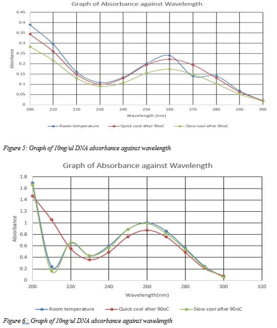 Graph of Absorbance against Wavelength
0.45
0.4
0.35
0.3
0,25
0.2
0.15
0.1
0.05
200
210
220
230
240
250
260
270
280
290
300
Wavelength (nm)
-Room temper ature
Quick cool after 90oc
-Slow cool after 90oc
Figure 5: Graph of 10ng/ul DNA absorbance against wavelength
Graph of Absorbance against Wavelength
1.8
1.6
1.4
1.2
1
0.8
0.6
0.4
0.2
200
220
240
260
280
300
320
Wavelength(nm)
Room temperature
Quick cool after 90oC
Slow cool after 90 oC
Figure , Graph of 10ng/ul DNA absorbance against wavelength
Absorbance
Absorbance
