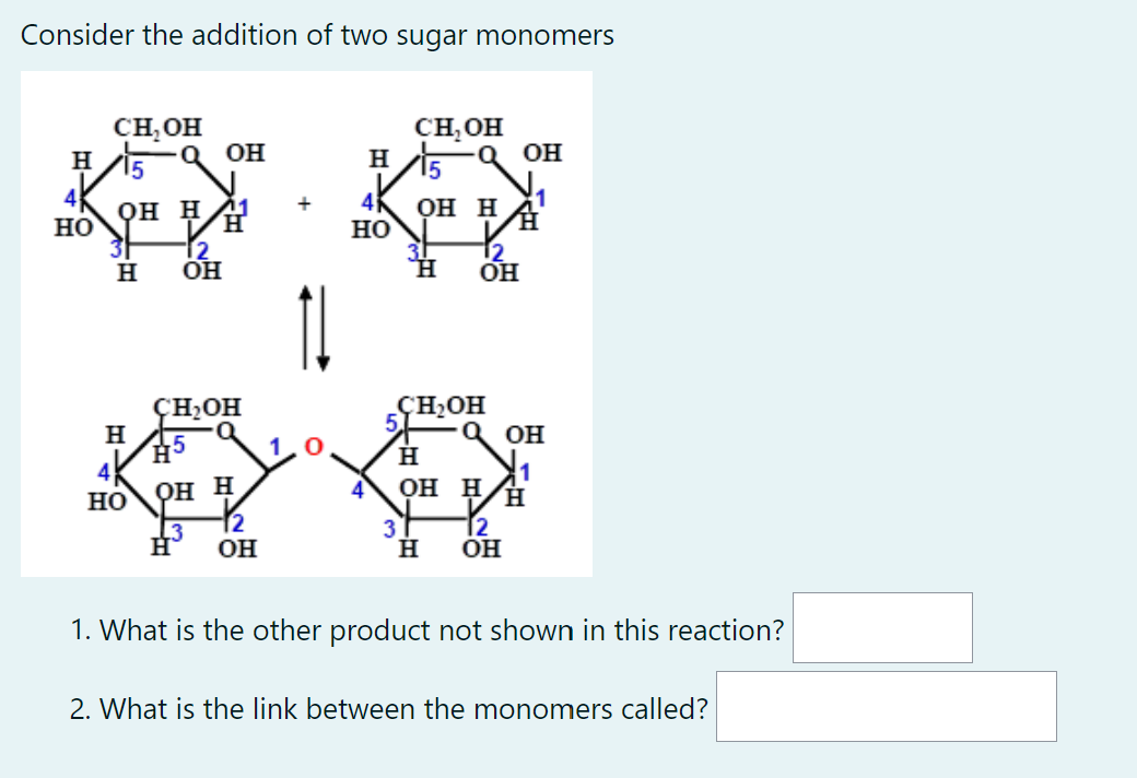Consider the addition of two sugar monomers
Н
4
HO
CH OH
15
OH HH
31
H
Н
4
HO
Q OH
H
12
ОН
CH2OH
H5
он н
L3
ОН
+
1↓
Н
4
HO
CH, OH
15
OH H
Н
Q OH
12
OH
CH2OH
Q OH
Н
OH H H
3T 12
Н
ОН
1. What is the other product not shown in this reaction?
2. What is the link between the monomers called?