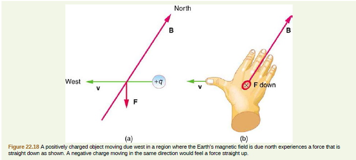 North
в
в
West
(b+)
F down
(a)
(b)
Figure 22.18 A positively charged object moving due west in a region where the Earth's magnetic field is due north experiences a force that is
straight down as shown. A negative charge moving in the same direction would feel a force straight up.
