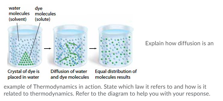 dye
molecules molecules
(solvent) (solute)
water
Explain how diffusion is an
Crystal of dye is
placed in water
Diffusion of water Equal distribution of
and dye molecules molecules results
example of Thermodynamics in action. State which law it refers to and how is it
related to thermodynamics. Refer to the diagram to help you with your response.
