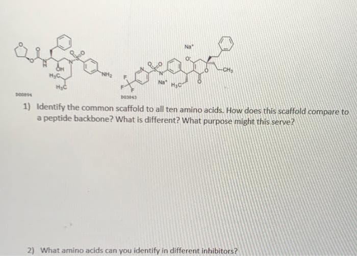 Na
CH,
F.
Na
H3C
1) Identify the common scaffold to all ten amino acids. How does this scaffold compare to
a peptide backbone? What is different? What purpose might this serve?
2) What amino acids can you identify in different inhibitors?
