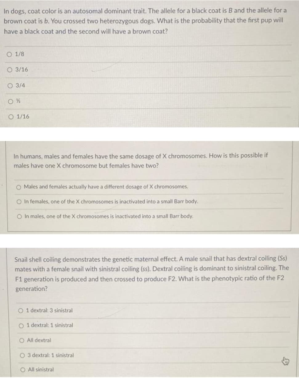 In dogs, coat color is an autosomal dominant trait. The allele for a black coat is B and the allele for a
brown coat is b. You crossed two heterozygous dogs. What is the probability that the first pup will
have a black coat and the second will have a brown coat?
O 1/8
O 3/16
O 3/4
O 1/16
In humans, males and females have the same dosage of X chromosomes. How is this possible if
males have one X chromosome but females have two?
O Males and females actually have a different dosage of X chromosomes.
O In females, one of the X chromosomes is inactivated into a small Barr body.
O In males, one of the X chromosomes is inactivated into a small Barr body.
Snail shell coiling demonstrates the genetic maternal effect. A male snail that has dextral coiling (Ss)
mates with a female snail with sinistral coiling (ss). Dextral coiling is dominant to sinistral coiling. The
F1 generation is produced and then crossed to produce F2. What is the phenotypic ratio of the F2
generation?
O 1 dextral: 3 sinistral
O 1 dextral: 1 sinistral
O All dextral
O 3 dextral: 1 sinistral
O All sinistral
