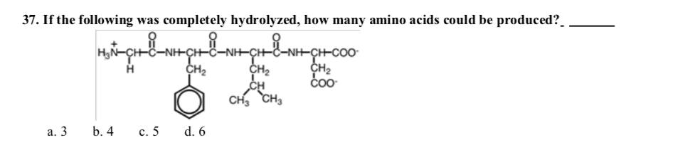 37. If the following was completely hydrolyzed, how many amino acids could be produced?_
-N-ÇHCO0-
CH2
CH
CH, CH,
CH2
CH2
а. 3
b. 4
с. 5
d. 6
