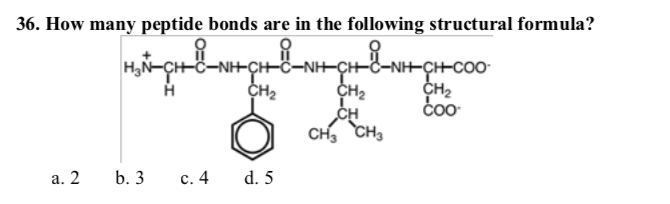 How many peptide bonds are in the following structural formula?
NH-CH-Ö
NH-CH-C-
CH2
CH2
čoo
CH
CH, CH,
а. 2
b. 3
с. 4
d. 5
