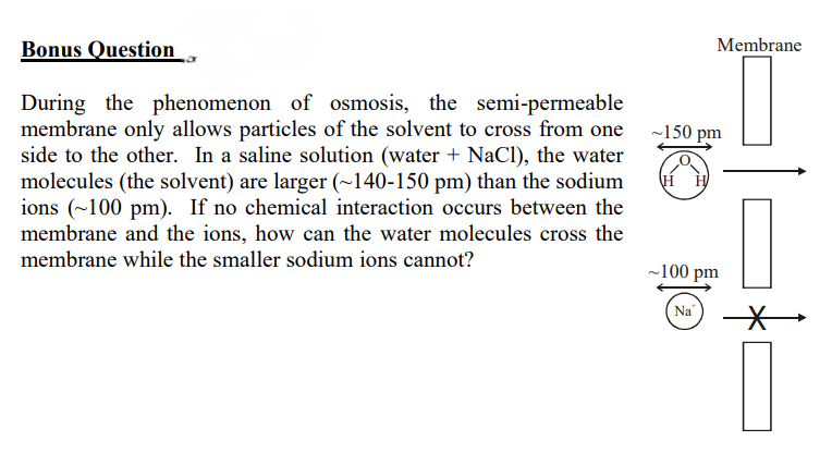 Bonus Question
During the phenomenon of osmosis, the semi-permeable
membrane only allows particles of the solvent to cross from one ~150 pm
side to the other. In a saline solution (water + NaCl), the water
molecules (the solvent) are larger (~140-150 pm) than the sodium
ions (~100 pm). If no chemical interaction occurs between the
membrane and the ions, how can the water molecules cross the
membrane while the smaller sodium ions cannot?
HH
Membrane
~100 pm
Na
*
