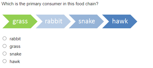 Which is the primary consumer in this food chain?
grass
rabbit
grass
snake
O hawk
rabbit
snake
hawk