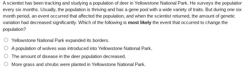 A scientist has been tracking and studying a population of deer in Yellowstone National Park. He surveys the population
every six months. Usually, the population is thriving and has a gene pool with a wide variety of traits. But during one six
month period, an event occurred that affected the population, and when the scientist returned, the amount of genetic
variation had decreased significantly. Which of the following is most likely the event that occurred to change the
population?
Yellowstone National Park expanded its borders.
A population of wolves was introduced into Yellowstone National Park.
The amount of disease in the deer population decreased.
More grass and shrubs were planted in Yellowstone National Park.