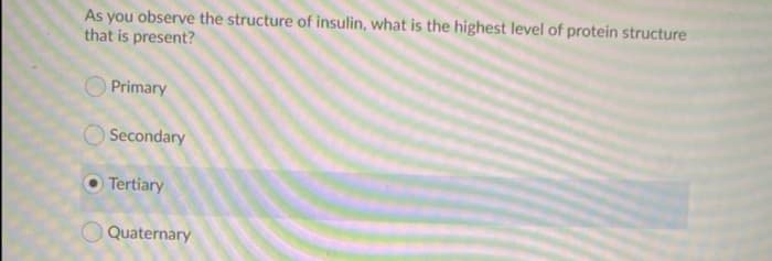 As you observe the structure of insulin, what is the highest level of protein structure
that is present?
Primary
O Secondary
Tertiary
Quaternary
