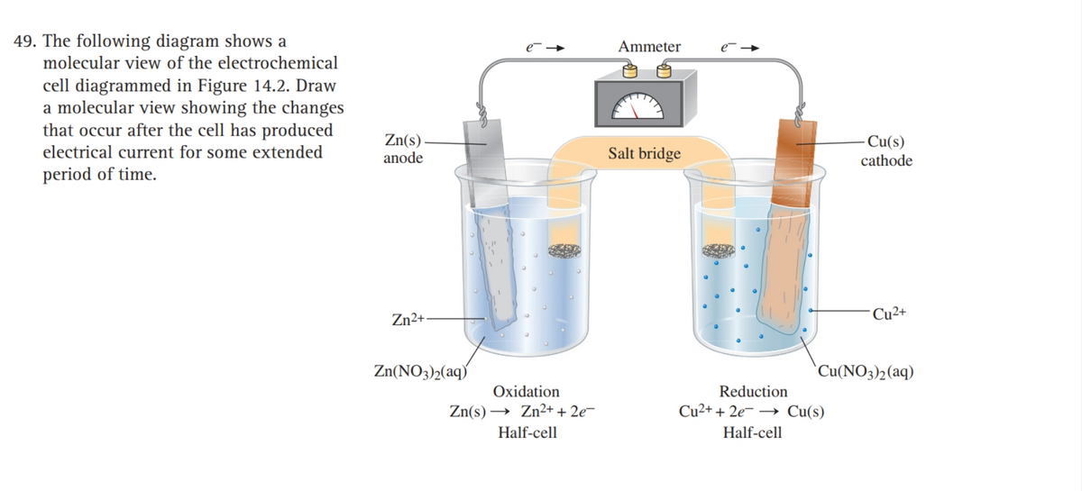 49. The following diagram shows a
molecular view of the electrochemical
Ammeter
cell diagrammed in Figure 14.2. Draw
a molecular view showing the changes
that occur after the cell has produced
Zn(s)
anode
- Cu(s)
electrical current for some extended
Salt bridge
cathode
period of time.
Zn²+•
Cu2+
Zn(NO3)2(aq)
`Cu(NO3)2(aq)
Oxidation
Reduction
Zn(s) → Zn²+ + 2e¬
Cu²+ + 2e¯ –→ Cu(s)
Half-cell
Half-cell
