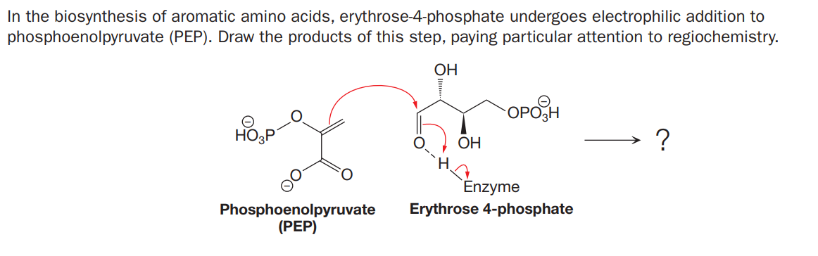In the biosynthesis of aromatic amino acids, erythrose-4-phosphate undergoes electrophilic addition to
phosphoenolpyruvate (PEP). Draw the products of this step, paying particular attention to regiochemistry.
ОН
OPOH
ОН
?
Enzyme
Erythrose 4-phosphate
Phosphoenolpyruvate
(PEP)
