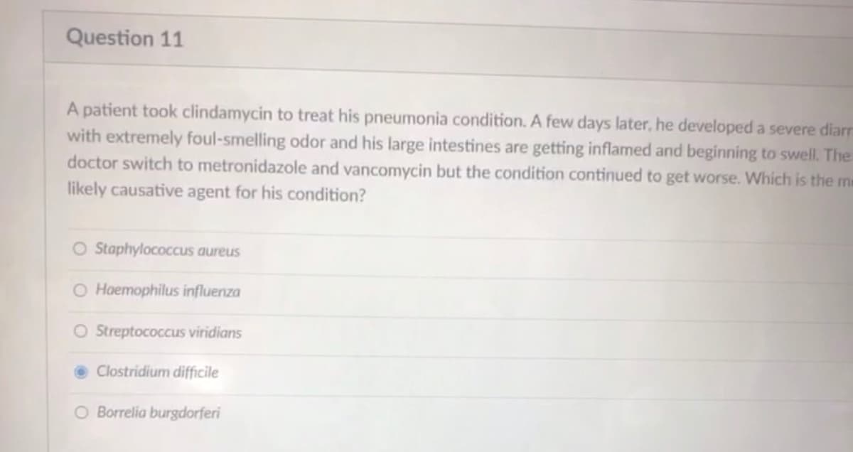 Question 11
A patient took clindamycin to treat his pneumonia condition. A few days later, he developed a severe diarr
with extremely foul-smelling odor and his large intestines are getting inflamed and beginning to swell. The
doctor switch to metronidazole and vancomycin but the condition continued to get worse. Which is the me
likely causative agent for his condition?
O Staphylococcus aureus
O Haemophilus influenza
O Streptococcus viridians
Clostridium difficile
O Borrelia burgdorferi
