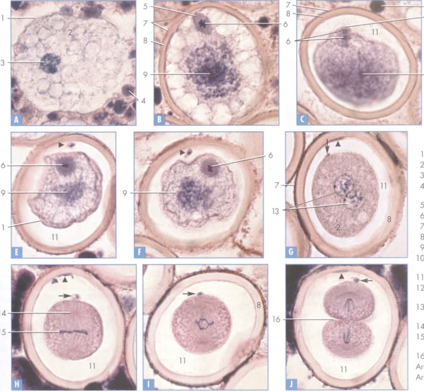 3
9
4-
15-
H
11
11
5
78
F
9
11
8
7
13
16
7
8
G
J
11
11
11
8
1
2
3
4
5
6
T
8
890
10
11
12
13
14
15
16
Ar
Ar