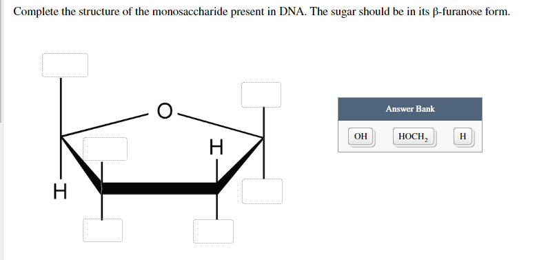 Complete the structure of the monosaccharide present in DNA. The sugar should be in its ß-furanose form.
H
H
OH
Answer Bank
HOCH2
H