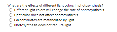 What are the effects of different light colors in photosynthesis?
Different light colors will change the rate of photosynthesis
Light color does not affect photosynthesis
Carbohydrates are metabolized by light
Photosynthesis does not require light
