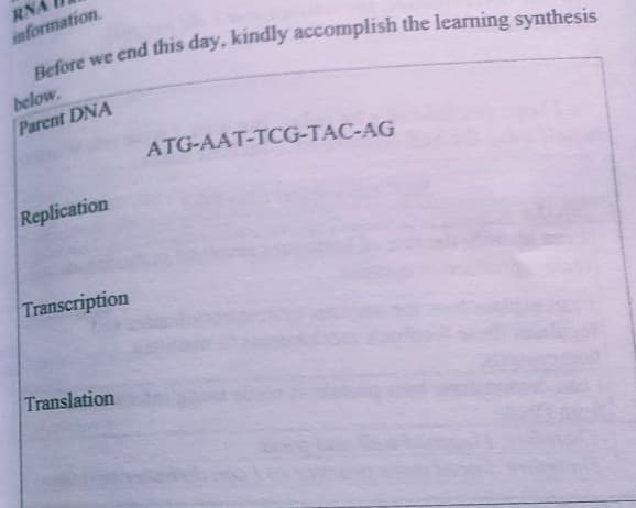 RNA
information.
below.
Parent DNA
ATG-AAT-TCG-TAC-AG
Replication
Transcription
Translation
