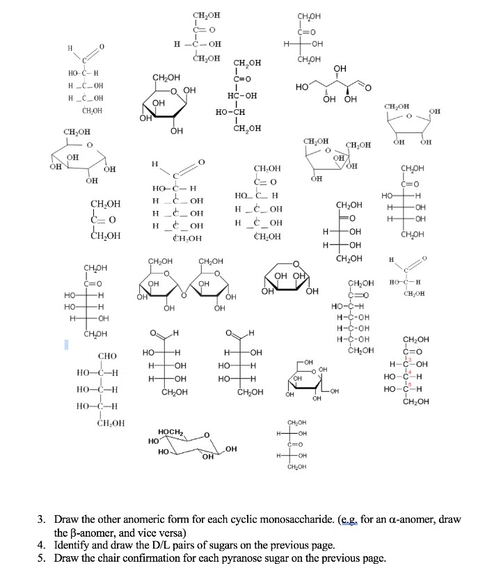 CH;OH
снон
C=O
C=0
H -C-OH
H-
-он
H
CH,OH
снон
CH,OH
OH
HO C-H
CH2OH
C=0
H _C-OH
Но
OH
HC-OH
оН ОН
H_C_OH
Он
CH,OH
CHOH
но-сн
он
OH
OH
ČH,OH
CH,OH
CH,OH
он
CH,OH
он
он
OH
OH
CH-OH
снрн
OH
C=0
он
C=0
Но-С— Н
HO C H
но-
CH,OH
H
E OH
CH,OH
H _C_ OH
H _C_OH
ČHHOH
H
OH
H
E OH
CH,OH
H-
HO.
снон
CH,OH
HO.
CH,OH
CH,OH
H
CH;OH
снон
OH OH
C=0
но
CH2OH
HO-C-H
он
он
ÓH
ÓH
CH;OH
ÓH
C=0
но-с-н
н-с-он
н-с-он
н-с-он
CH,OH
но-
OH
OH
H-
ČHOH
CH2OH
но
H-
OH
C=0
СНО
H-
OH-
но
OH
H-C-OH
он
HO-C-H
но-с- н
Is
HO-C-H
H-
-OH
но-
OH
HO-C-H
ČH;OH
ČH2OH
OH
он
он
HO-C-H
ČH2OH
ČH,OH
CH,OH
HOCH2
но
HO
H FOH
он
HO
H-
-OH
CH,OH
3. Draw the other anomeric form for each cyclic monosaccharide. (e.g. for an a-anomer, draw
the B-anomer, and vice versa)
4. Identify and draw the D/L pairs of sugars on the previous page.
5. Draw the chair confirmation for cach pyranose sugar on the previous page.
