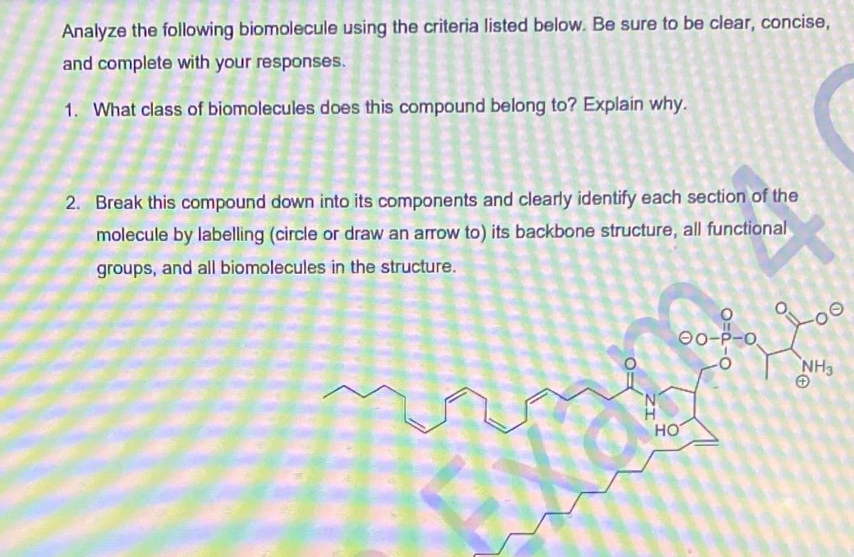 Analyze the following biomolecule using the criteria listed below. Be sure to be clear, concise,
and complete with your responses.
1. What class of biomolecules does this compound belong to? Explain why.
2. Break this compound down into its components and clearly identify each section of the
molecule by labelling (circle or draw an arrow to) its backbone structure, all functional
groups, and all biomolecules in the structure.
00-P-O
NH3
HO
