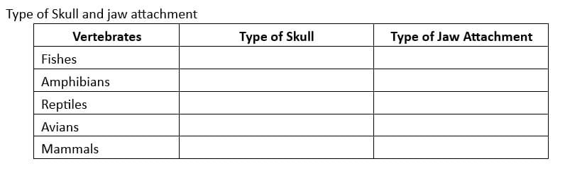 Type of Skull and jaw attachment
Vertebrates
Fishes
Amphibians
Reptiles
Avians
Mammals
Type of Skull
Type of Jaw Attachment