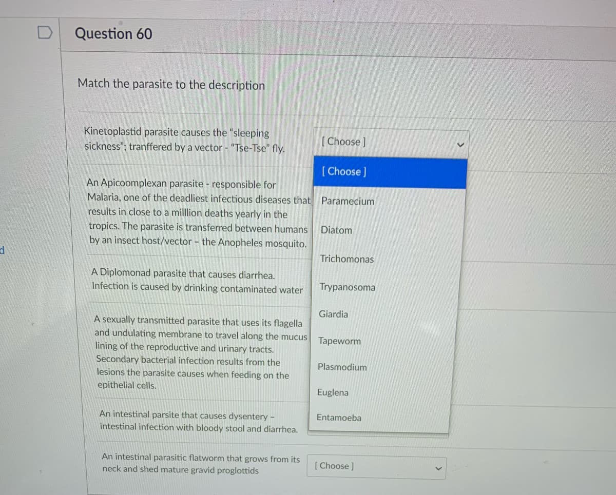 D
Question 60
Match the parasite to the description
Kinetoplastid parasite causes the "sleeping
sickness"; tranffered by a vector "Tse-Tse" fly.
[Choose]
[ Choose]
An Apicoomplexan parasite - responsible for
Malaria, one of the deadliest infectious diseases that Paramecium
results in close to a million deaths yearly in the
tropics. The parasite is transferred between humans
by an insect host/vector - the Anopheles mosquito.
Diatom
Trichomonas
A Diplomonad parasite that causes diarrhea.
Infection is caused by drinking contaminated water
Trypanosoma
Giardia
A sexually transmitted parasite that uses its flagella
and undulating membrane to travel along the mucus
lining of the reproductive and urinary tracts.
Tapeworm
Secondary bacterial infection results from the
Plasmodium
lesions the parasite causes when feeding on the
epithelial cells.
Euglena
An intestinal parsite that causes dysentery-
Entamoeba
intestinal infection with bloody stool and diarrhea.
An intestinal parasitic flatworm that grows from its
neck and shed mature gravid proglottids
[ Choose ]

