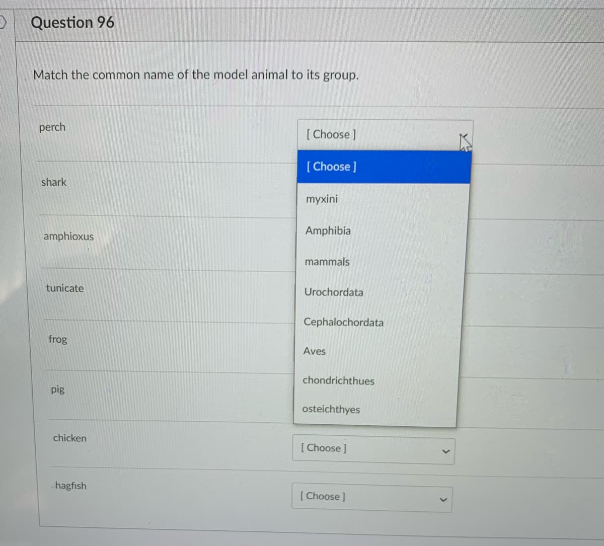 Question 96
Match the common name of the model animal to its group.
perch
[ Choose ]
[ Choose ]
shark
myxini
Amphibia
amphioxus
mammals
tunicate
Urochordata
Cephalochordata
frog
Aves
chondrichthues
pig
osteichthyes
chicken
[ Choose]
hagfish
[ Choose]
