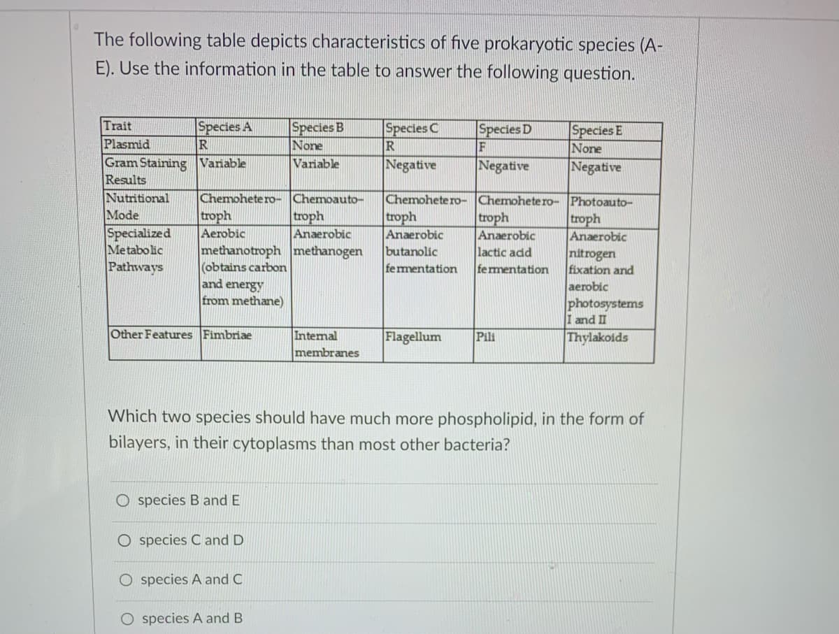 The following table depicts characteristics of five prokaryotic species (A-
E). Use the information in the table to answer the following question.
Trait
Species A
Species B
None
Species C
R
Species D
Species E
None
Plasmid
Gram Staining Variable
Results
Nutritional
Mode
Variable
Negative
Negative
Negative
Chemohete ro- Chemohete ro- Photoauto-
troph
Anaerobic
butanolic
fermentation
Chemohete ro- Chemoauto-
troph
Aerobic
methanotroph methanogen
(obtains carbon
and energy
from methane)
troph
Anaerobic
troph
Anaerobic
lactic add
fermentation
troph
Anaerobic
nitrogen
fixation and
aerobic
photosystems
I and II
Thylakoids
Specialized
Metabolic
Pathways
Other Features Fimbriae
Intemal
Flagellum
Pili
membranes
Which two species should have much more phospholipid, in the form of
bilayers, in their cytoplasms than most other bacteria?
species B and E
species C and D
O species A and C
O species A and B

