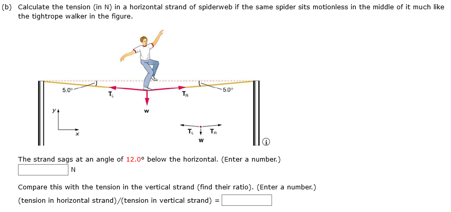 (b) Calculate the tension (in N) in a horizontal strand of spiderweb if the same spider sits motionless in the middle of it much like
the tightrope walker in the figure.
5.0°
5.0°
T.
T.I Ta
The strand sags at an angle of 12.0° below the horizontal. (Enter a number.)
N
Compare this with the tension in the vertical strand (find their ratio). (Enter a number.)
(tension in horizontal strand)/(tension in vertical strand)
