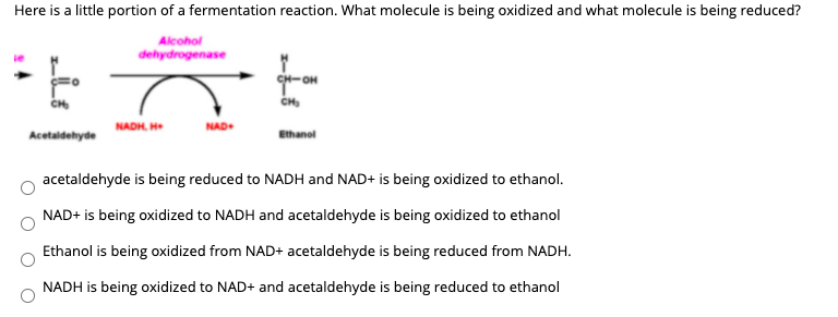 Here is a little portion of a fermentation reaction. What molecule is being oxidized and what molecule is being reduced?
Alcohol
dehydrogenase
CH-OH
NADH, H
NAD+
Acetaidehyde
Ethanol
acetaldehyde is being reduced to NADH and NAD+ is being oxidized to ethanol.
NAD+ is being oxidized to NADH and acetaldehyde is being oxidized to ethanol
Ethanol is being oxidized from NAD+ acetaldehyde is being reduced from NADH.
NADH is being oxidized to NAD+ and acetaldehyde is being reduced to ethanol
