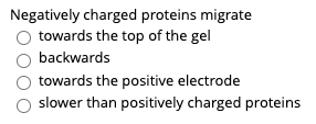 Negatively charged proteins migrate
towards the top of the gel
backwards
towards the positive electrode
slower than positively charged proteins
