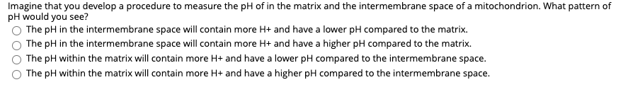 Imagine that you develop a procedure to measure the pH of in the matrix and the intermembrane space of a mitochondrion. What pattern of
pH would you see?
O The pH in the intermembrane space will contain more H+ and have a lower pH compared to the matrix.
The pH in the intermembrane space will contain more H+ and have a higher pH compared to the matrix.
The pH within the matrix will contain more H+ and have a lower pH compared to the intermembrane space.
The pH within the matrix will contain more H+ and have a higher pH compared to the intermembrane space.
