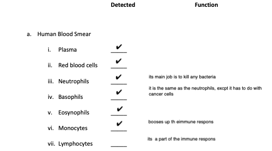 Detected
Function
a. Human Blood Smear
i. Plasma
ii. Red blood cells
its main job is to killany bacteria
iii. Neutrophils
it is the same as the neutrophils, excpt it has to do with
cancer cells
iv. Basophils
v. Eosynophils
booses up th eimmune respons
vi. Monocytes
its a part of the immune respons
vii. Lymphocytes
/> >| > | >| >| |
