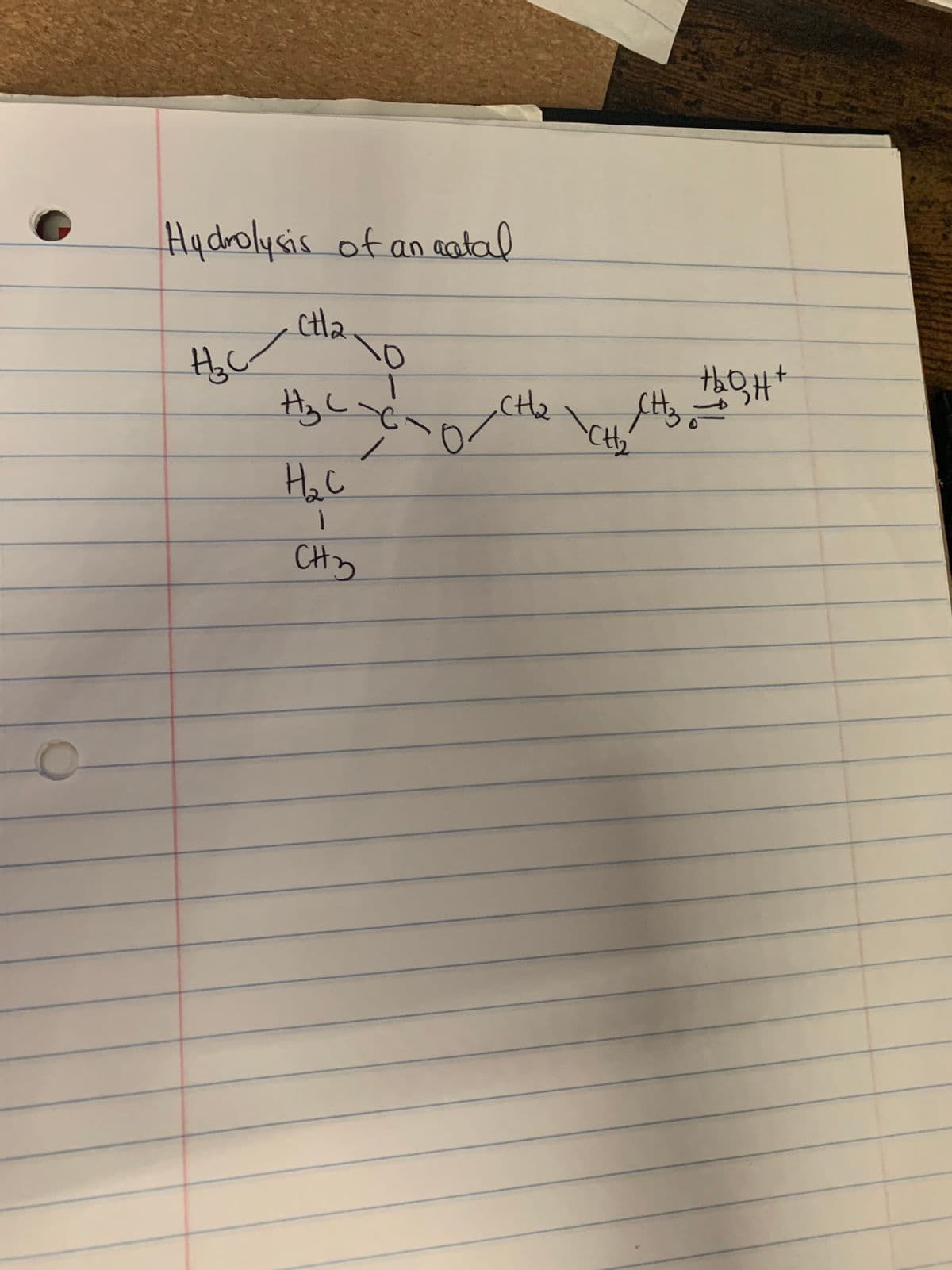 O
Hydrolysis of an acetal
H₂C
ctla
0
Hz C-C
H₂C
1
CH3
CH₂
CHz i
CH₂
thOH+