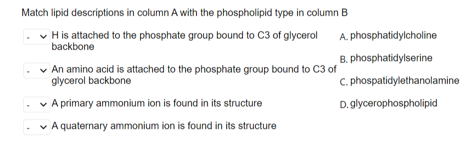 Match lipid descriptions in column A with the phospholipid type in column B
✓ H is attached to the phosphate group bound to C3 of glycerol
backbone
✓ An amino acid is attached to the phosphate group bound to C3 of
glycerol backbone
A primary ammonium ion is found in its structure
A quaternary ammonium ion is found in its structure
A. phosphatidylcholine
B. phosphatidylserine
C. phospatidylethanolamine
D. glycerophospholipid
