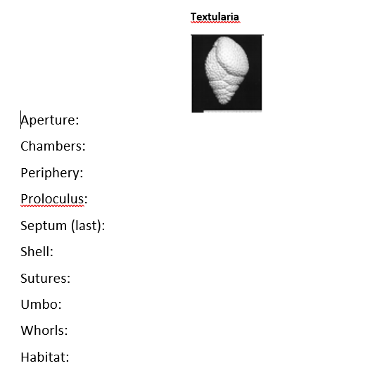 Textularia
Aperture:
Chambers:
Periphery:
Proloculus:
Septum (last):
Shell:
Sutures:
Umbo:
Whorls:
Habitat:
