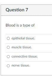 Question 7
Blood is a type of
epithelial tissue.
muscle tissue.
O connective tissue.
nerve tissue.
