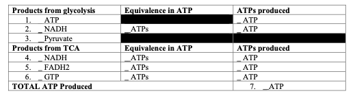 ATPS produced
ATP
ATP
Products from glycolysis
Equivalence in ATP
1.
ATP
2.
NADH
Руruvate
ATPS
3.
Equivalence in ATP
ATPS
ATPS
Products from TCA
NADH
5.
GTP
ATPS produced
ATP
ATP
4.
FADH2
6.
ATPS
ATP
TOTAL ATP Produced
7. ATP
