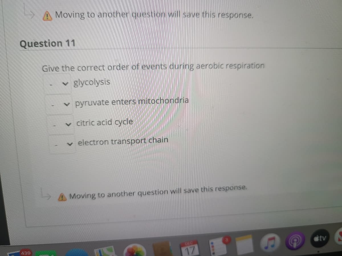 A Moving to another question will save this response.
Question 11
Give the correct order of events during aerobic respiration
glycolysis
v pyruvate enters mitochondria
v citric acid cycle
v electron transport chain
Moving to another question will save this response.
DEC
tv
439
17
