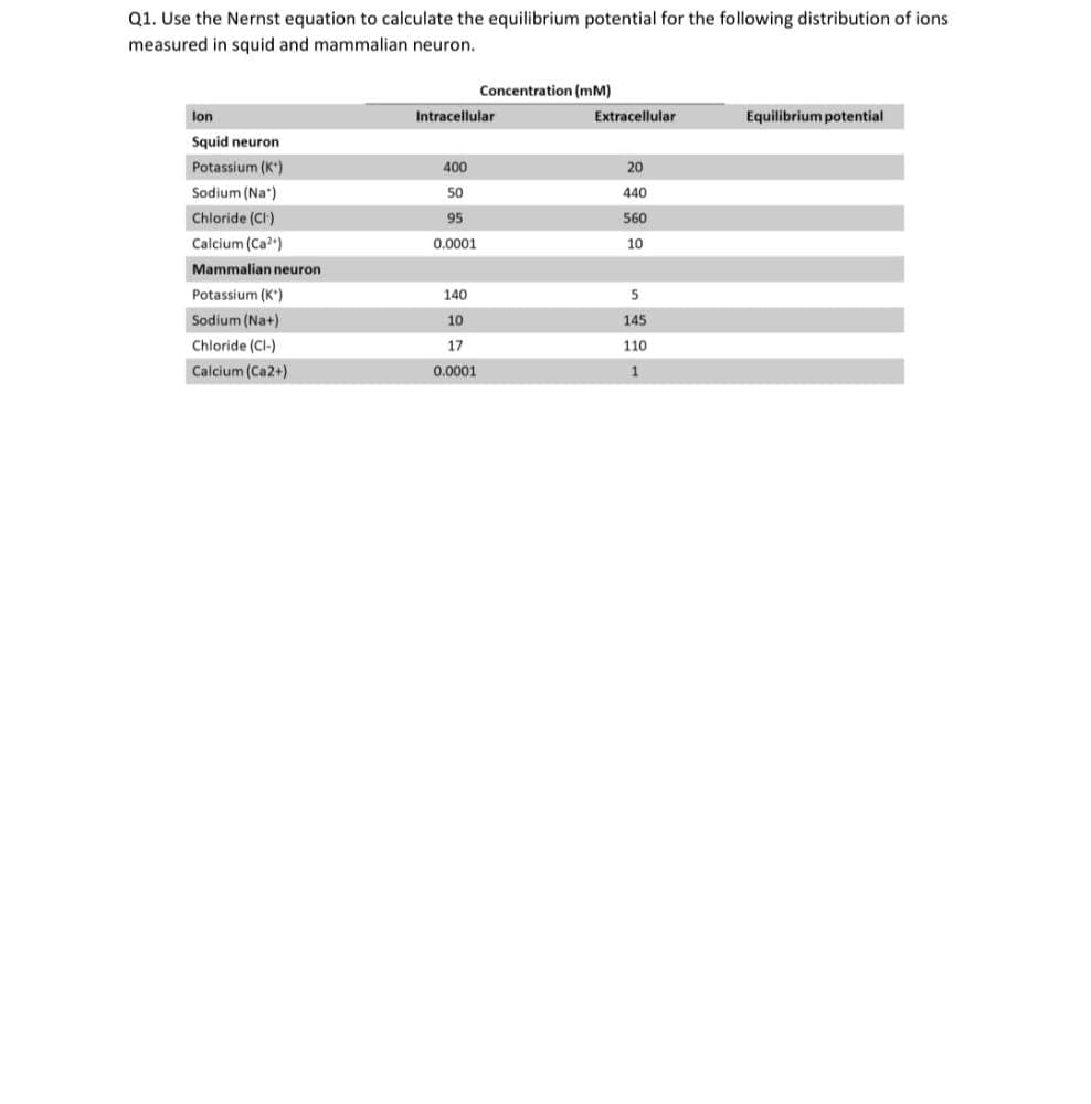 Q1. Use the Nernst equation to calculate the equilibrium potential for the following distribution of ions
measured in squid and mammalian neuron.
Concentration (mM)
lon
Intracellular
Extracellular
Equilibrium potential
Squid neuron
Potassium (K)
400
20
Sodium (Na*)
50
440
Chloride (CI)
95
560
Calcium (Ca)
0.0001
10
Mammalian neuron
Potassium (K*)
140
Sodium (Na+)
10
145
Chloride (CI-)
17
110
Calcium (Ca2+)
0.0001
