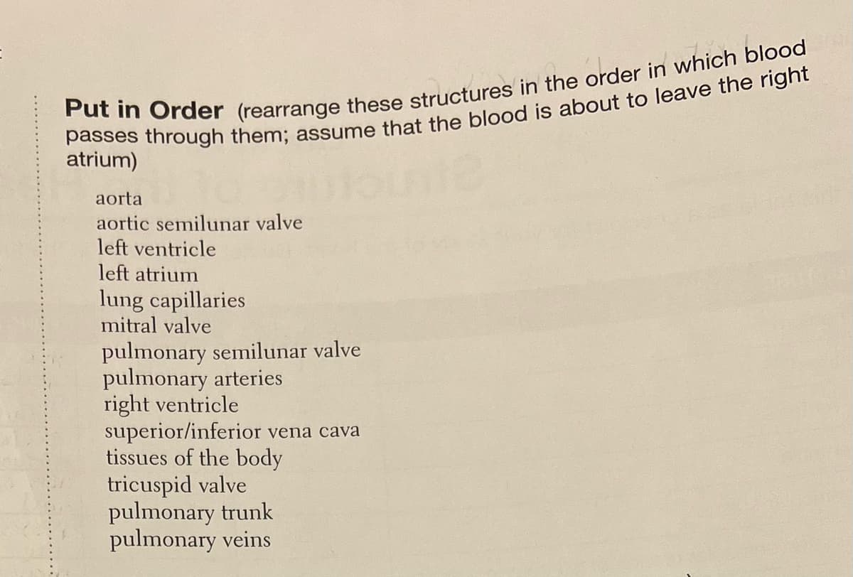 atrium)
aorta
aortic semilunar valve
left ventricle
left atrium
lung capillaries
mitral valve
pulmonary semilunar valve
pulmonary arteries
right ventricle
superior/inferior vena cava
tissues of the body
tricuspid valve
pulmonary trunk
pulmonary veins
