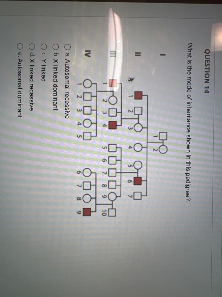 QUESTION 14
What is the mode of inheritance shown in this pedigree?
1.
II
O O OO
3
4
5.
6.
8 9
10
IV
1 2
4 5
6 7
8.
9
a. Autosomal recessive
O b. X linked dominant
O c. Y linked
d.X linked recessive
e. Autosomal dominant
