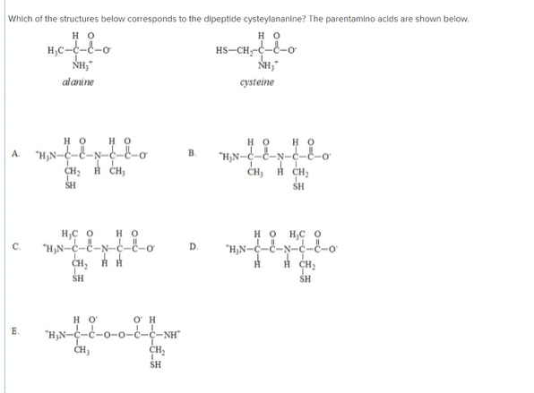 Which of the structures below corresponds to the dipeptide cysteylananine? The parentamino acids are shown below.
но
но
H,C--č-o
NH,
HS-CH---o
NH,
alanine
cysteine
H O
A. "H,N-C-E-N-c-&-ơ
CH: H CH,
но
но
но
B.
CH, H CH;
SH
SH
H,C O
H O
H O
HC O
"H,N-c-c-N-c-E-o
D.
SH
SH
O H
"H,N-c-c-o-o-c-c-NH"
CH,
H O
E.
SH
C.
