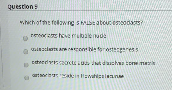 Question 9
Which of the following is FALSE about osteoclasts?
osteoclasts have multiple nuclei
osteoclasts are responsible for osteogenesis
osteoclasts secrete acids that dissolves bone matrix
osteoclasts reside in Howships lacunae
