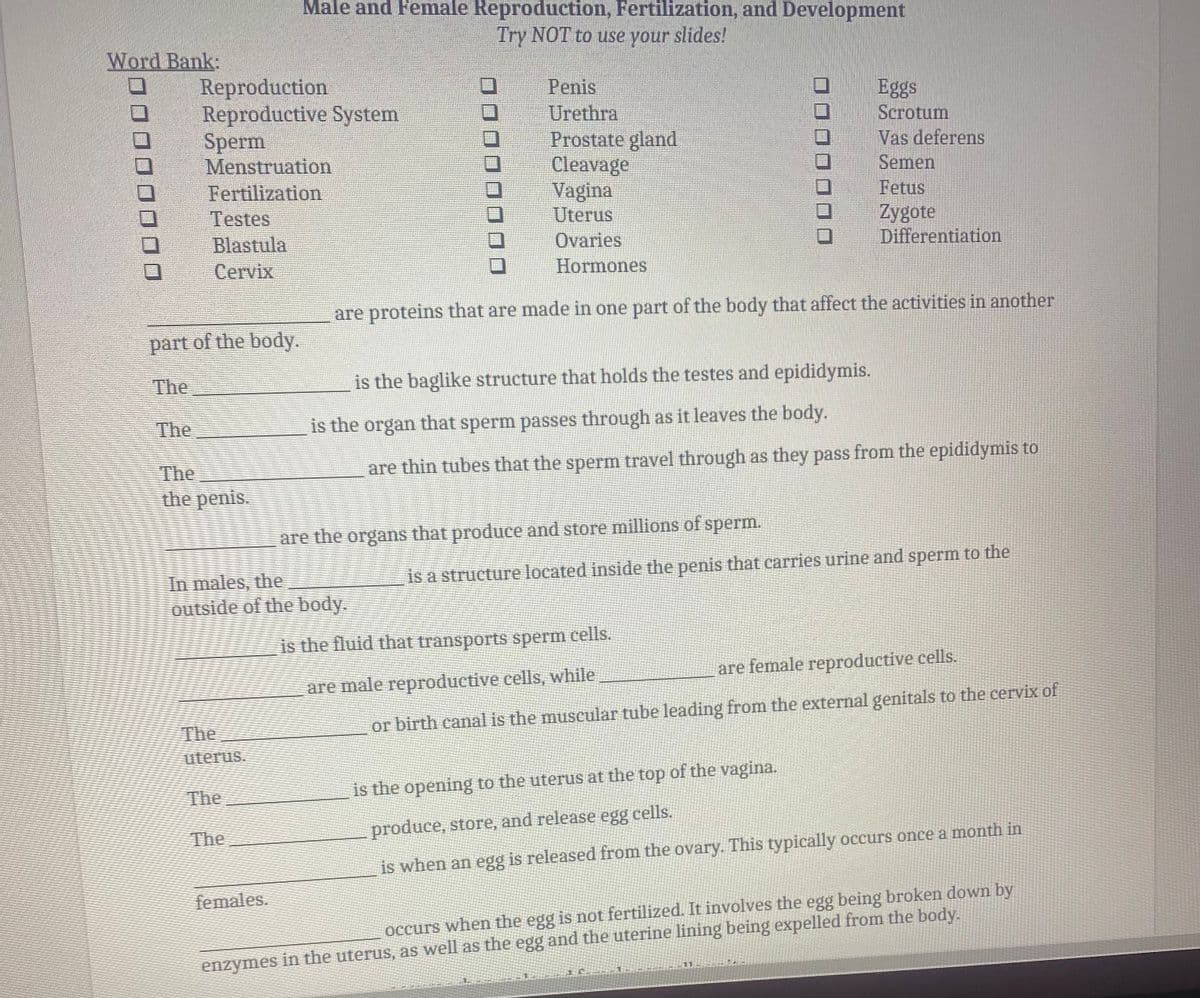 Male and Female Reproduction, Fertilization, and Development
Try NOT to use your slides!
Word Bank:
Reproduction
Reproductive System
Sperm
Menstruation
Fertilization
Testes
Blastula
Cervix
Penis
Eggs
Urethra
Prostate gland
Cleavage
Vagina
Uterus
Scrotum
Vas deferens
Semen
Fetus
Zygote
Differentiation
Ovaries
Hormones
are proteins that are made in one part of the body that affect the activities in another
part of the body.
The
is the baglike structure that holds the testes and epididymis.
The
is the organ that sperm passes through as it leaves the body.
are thin tubes that the sperm travel through as they pass from the epididymis to
The
the penis.
are the organs that produce and store millions of sperm.
is a structure located inside the penis that carries urine and sperm to the
In males, the
outside of the body.
is the fluid that transports sperm cells.
are female reproductive cells.
are male reproductive cells, while
The
or birth canal is the muscular tube leading from the external genitals to the cervix of
uterus.
The
is the opening to the uterus at the top of the vagina.
The
produce, store, and release egg cells.
is when an egg is released from the ovary. This typically occurs once a month in
females.
occurs when the egg is not fertilized. It involves the egg being broken down by
enzymes
in the uterus, as well as the egg and the uterine lining being expelled from the body.
