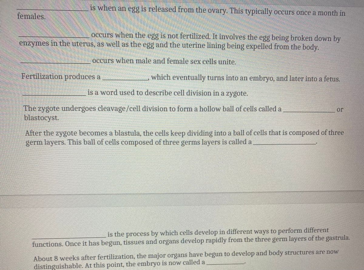 is when an egg is released from the ovary. This typically occurs once a month in
females.
occurs when the egg is not fertilized. It involves the egg being broken down by
enzymes in the uterus, as well as the egg and the uterine lining being expelled from the body.
occurs when male and female sex cells unite.
Fertilization produces a
which eventually turns into an embryo, and later into a fetus,
is a word used to describe cell division in a zygote.
The zygote undergoes cleavage/cell division to form a hollow ball of cells called a
blastocyst.
or
After the zygote becomes a blastula, the cells keep dividing into a ball of cells that is composed of three
germ layers. This ball of cells composed of three germs layers is called a
is the process by which cells develop in different ways to perform different
functions. Once it has begun, tissues and organs develop rapidly from the three germ layers of the gastrula.
About 8 weeks after fertilization, the major organs have begun to develop and body structures are now
distinguishable. At this point, the embryo is now called a
