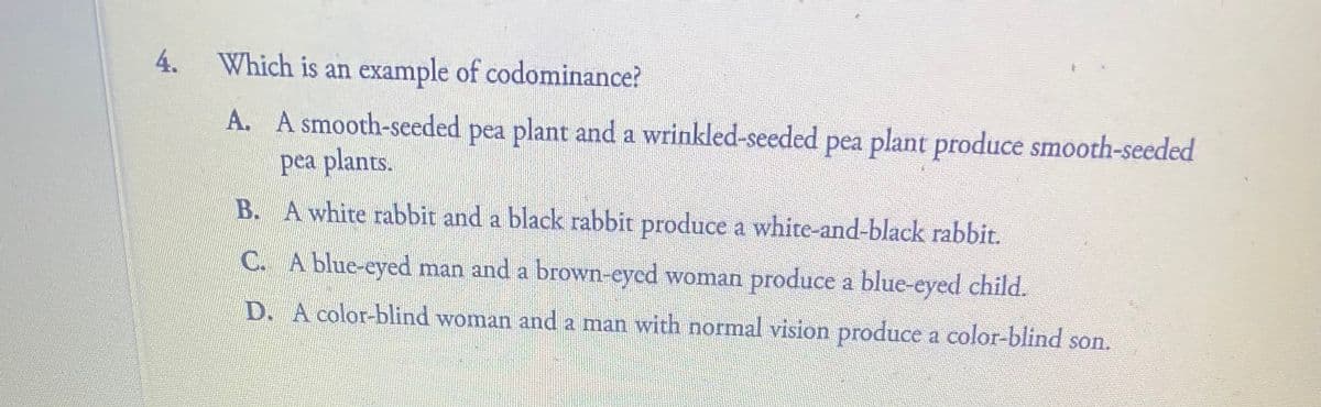 4.
Which is an example of codominance?
A. A smooth-seeded pea plant and a wrinkled-seeded pea plant produce smooth-seeded
pea plants.
B. A white rabbit and a black rabbit produce a white-and-black rabbit.
C. A blue-eyed man and a brown-eycd woman produce a blue-eyed child.
D. A color-blind woman and a man with normal vision produce a color-blind son.
