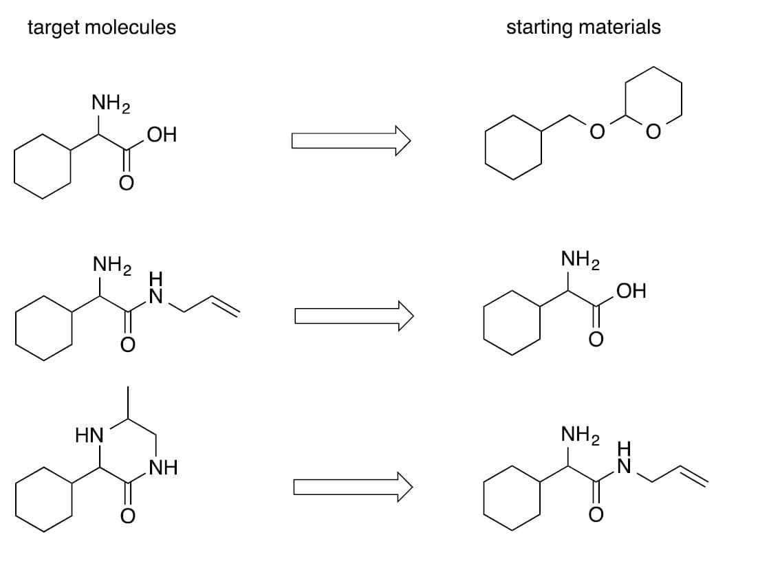starting materials
target molecules
NH2
Но
NH2
NH2
ОН
NH2
HN
HN

