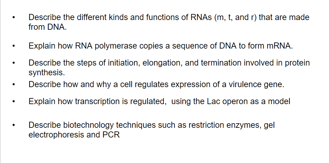•
●
Describe the different kinds and functions of RNAs (m, t, and r) that are made
from DNA.
Explain how RNA polymerase copies a sequence of DNA to form mRNA.
Describe the steps of initiation, elongation, and termination involved in protein
synthesis.
Describe how and why a cell regulates expression of a virulence gene.
Explain how transcription is regulated, using the Lac operon as a model
Describe biotechnology techniques such as restriction enzymes, gel
electrophoresis and PCR