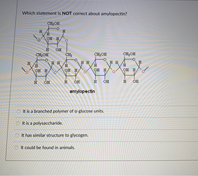 Which statement is NOT correct about amylopectin?
OH B
amylopectin
O Rka branched polymer of a-plucose units.
Risa polysaccharide
t has similar structure to pycogen.
R could be found in animals.
