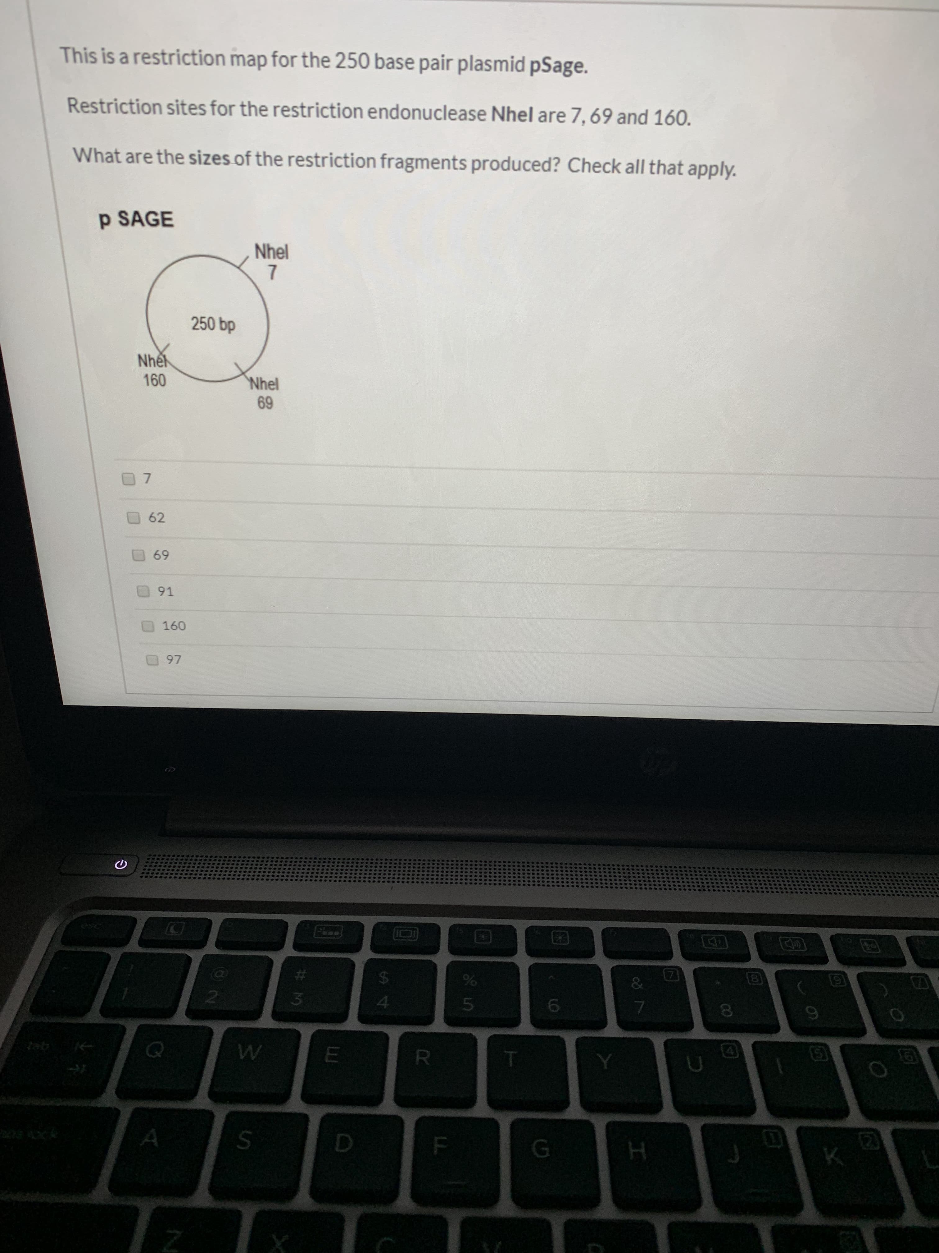 This is a restriction map for the 250 base pair plasmid pSage.
Restriction sites for the restriction endonuclease Nhel are 7, 69 and 160.
What are the sizes of the restriction fragments produced? Check all that apply.
p SAGE
Nhel
7
250 bp
Nhền
160
Nhel
69
62
69
91
160
97
